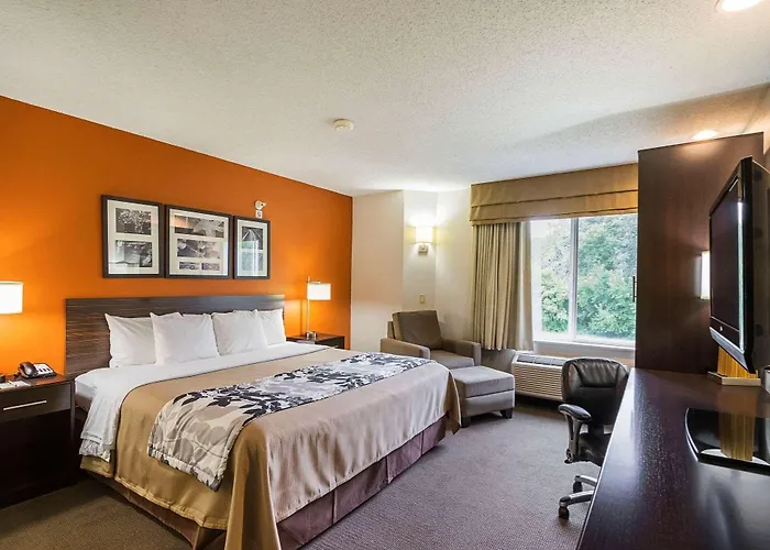 Hotel Sleep & 4*